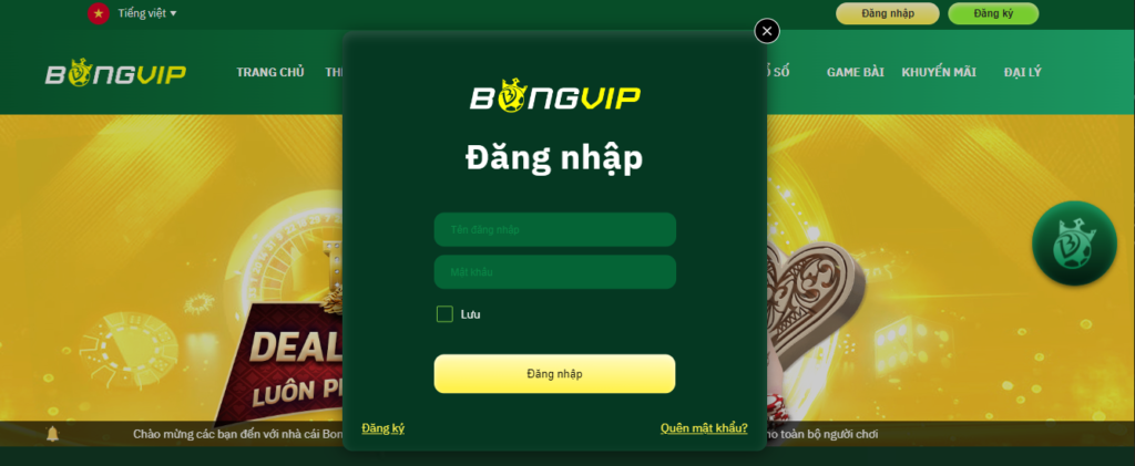 Cách đăng nhập vào bongvip