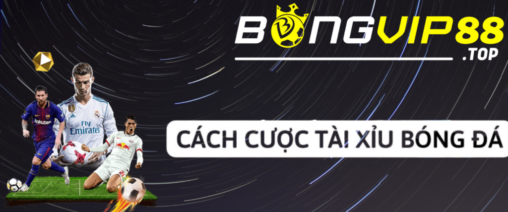 Cược tài xỉu bóng đá bongvip